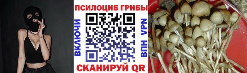 Псилоцибиновые грибы прущие грибы  хочу наркоту  Окуловка 